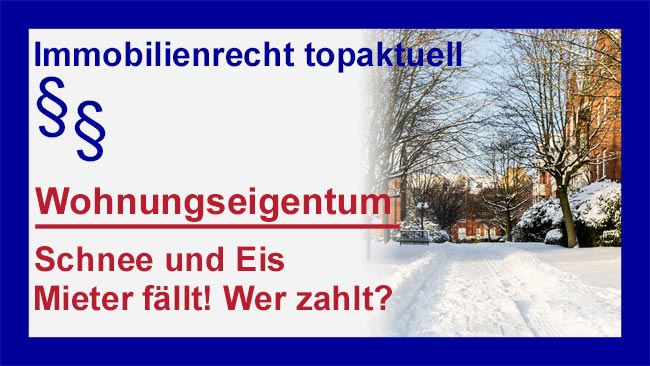 Geld - Copyright Sylvia Horst